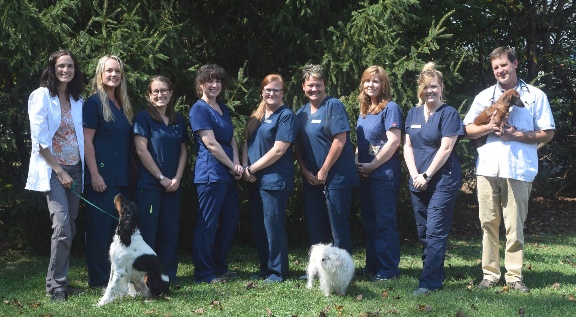 Veterinarian In Arden, NC 28704 | WNC Veterinary Hospital